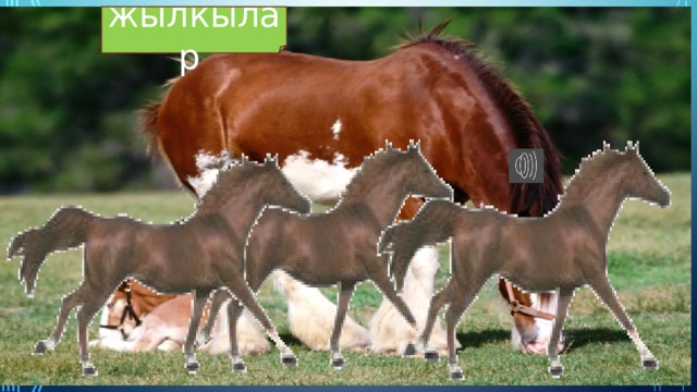 Г,к,н,т,р,ф,о,ч,х,я,у. 