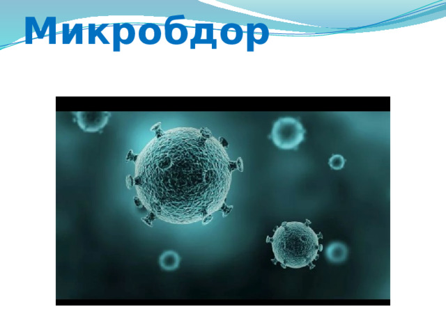 Микробдор 