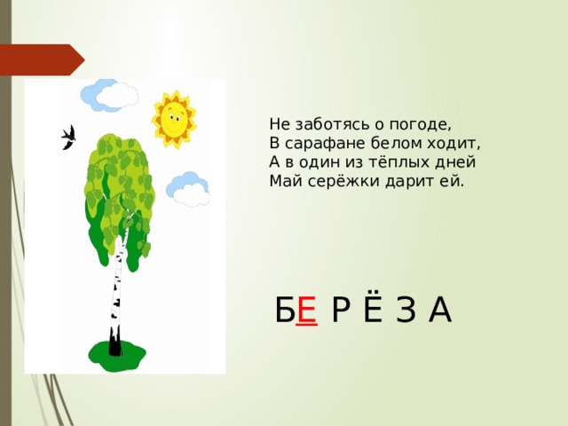 Не заботясь о погоде, В сарафане белом ходит, А в один из тёплых дней Май серёжки дарит ей. Б  Р Ё З А Е 