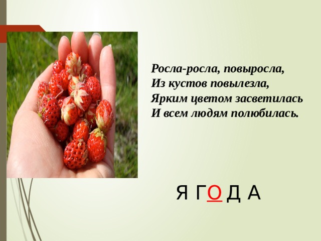 Росла-росла, повыросла, Из кустов повылезла, Ярким цветом засветилась И всем людям полюбилась. Я Г  Д А О 