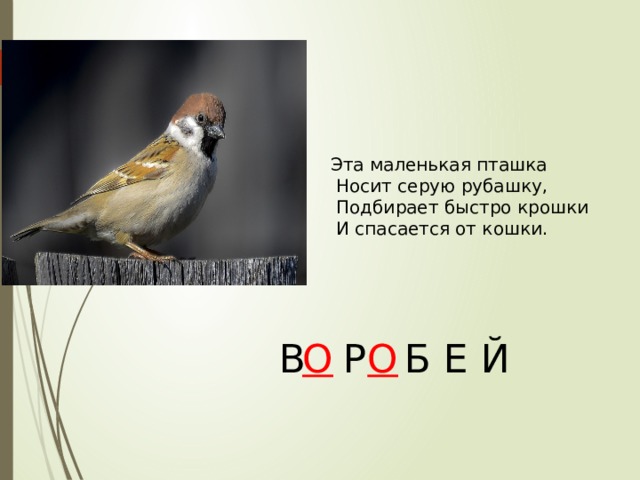 Эта маленькая пташка  Носит серую рубашку,  Подбирает быстро крошки  И спасается от кошки. В  Р  Б Е Й О О 