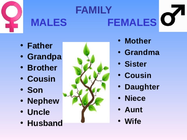 FAMILY  MALES FEMALES Mother Grandma Sister Cousin Daughter Niece Aunt Wife  Father Grandpa Brother Cousin Son Nephew Uncle Husband  
