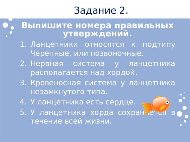 Задание 2. Выпишите номера правильных утверждений. Ланцетники относятся к подтипу Черепные, или позвоночные. Нервная система у ланцетника располагается над хордой. Кровеносная система у ланцетника незамкнутого типа. У ланцетника есть сердце. У ланцетника хорда сохраняется в течение всей жизни. 