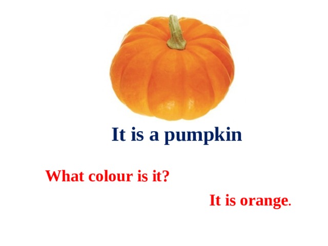  It is a pumpkin What colour is it?  It is orange . 