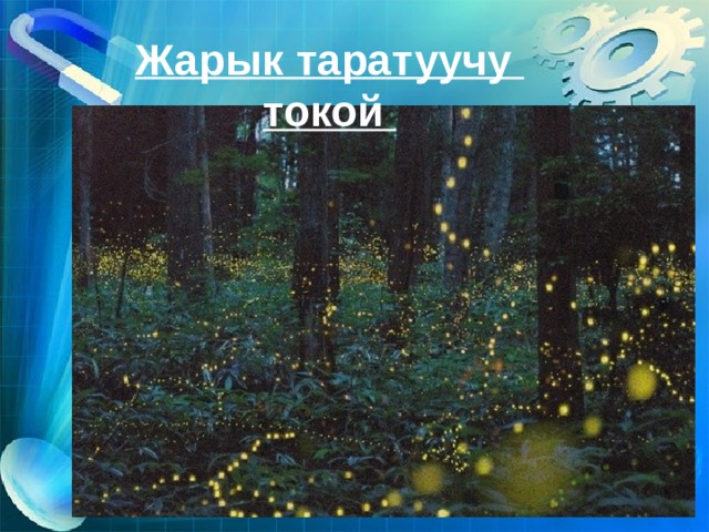 Жарык таратуучу токой 
