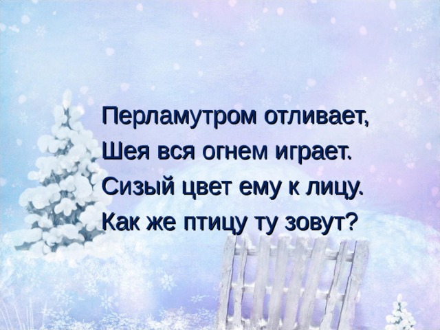 Перламутром отливает, Шея вся огнем играет. Сизый цвет ему к лицу. Как же птицу ту зовут? 