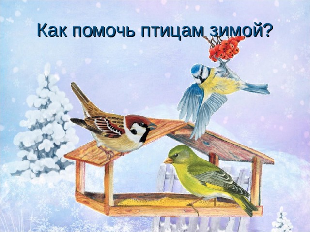 Как помочь птицам зимой? 