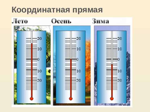  Координатная прямая 