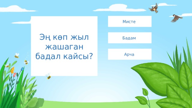Мисте Эң көп жыл жашаган бадал кайсы? Бадам Арча 