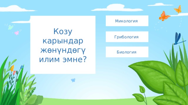 Микология Козу карындар жөнүндөгү илим эмне? Грибология Биология 