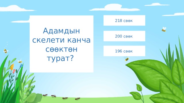218 сөөк Адамдын скелети канча сөөктөн турат? 200 сөөк 196 сөөк 