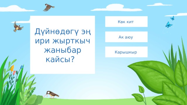 Дүйнөдөгү эң ири жырткыч жаныбар кайсы? Көк кит Ак аюу Карышкыр 