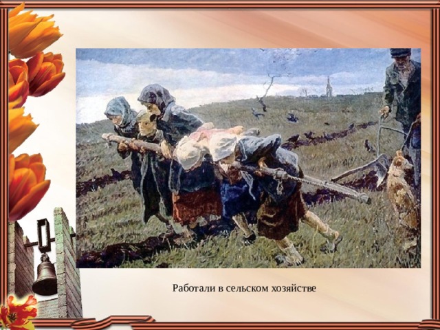   Работали в сельском хозяйстве 