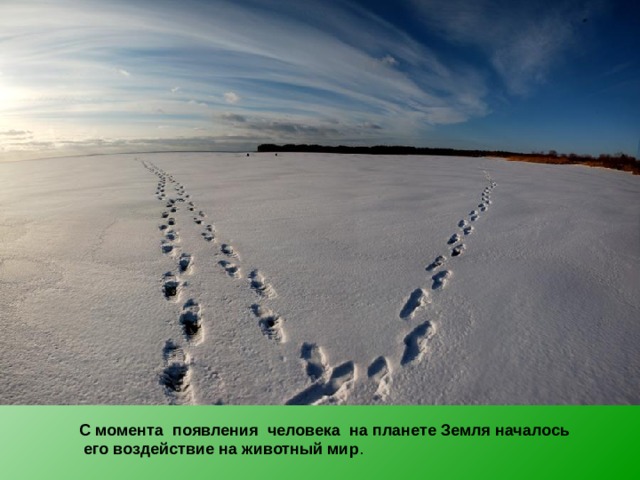 С момента появления человека на планете Земля началось  его воздействие на животный мир . 