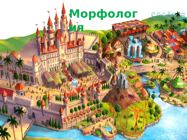 Морфология