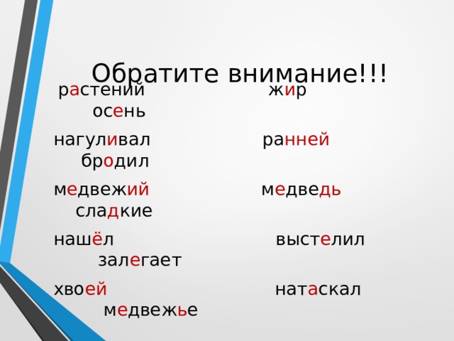 Обратите внимание!!!  р а стений ж и р ос е нь нагул и вал ра нней бр о дил м е двеж ий м е две дь сла д кие наш ё л выст е лил зал е гает хво ей нат а скал м е двеж ь е 