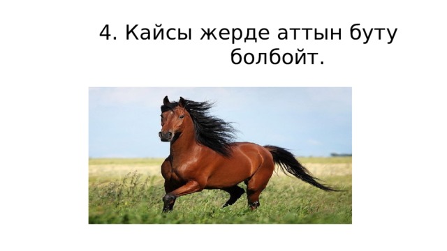 4. Кайсы жерде аттын буту болбойт. 