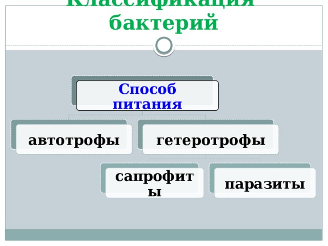 Классификация бактерий Способ питания автотрофы гетеротрофы сапрофиты паразиты 