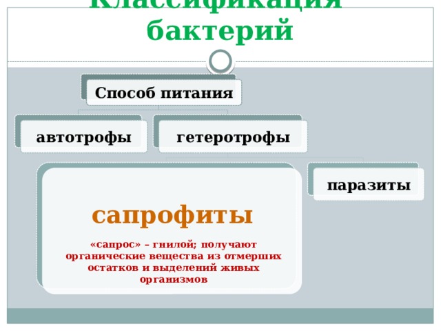 Классификация бактерий Способ питания гетеротрофы автотрофы сапрофиты паразиты  «сапрос» – гнилой; получают органические вещества из отмерших остатков и выделений живых организмов 