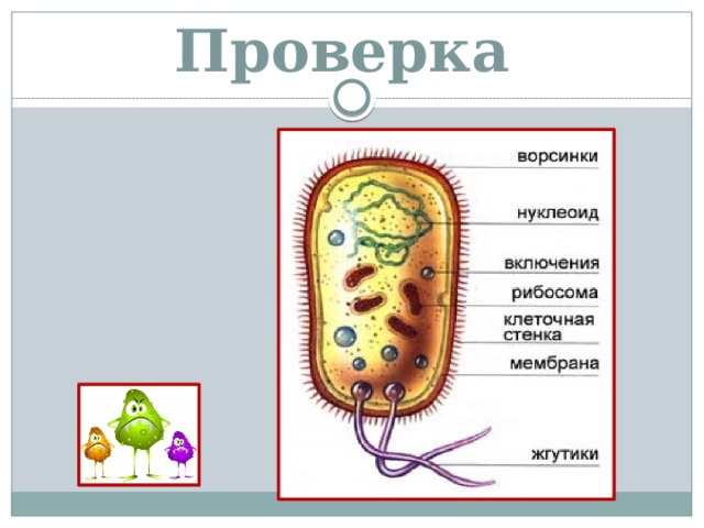 Проверка 