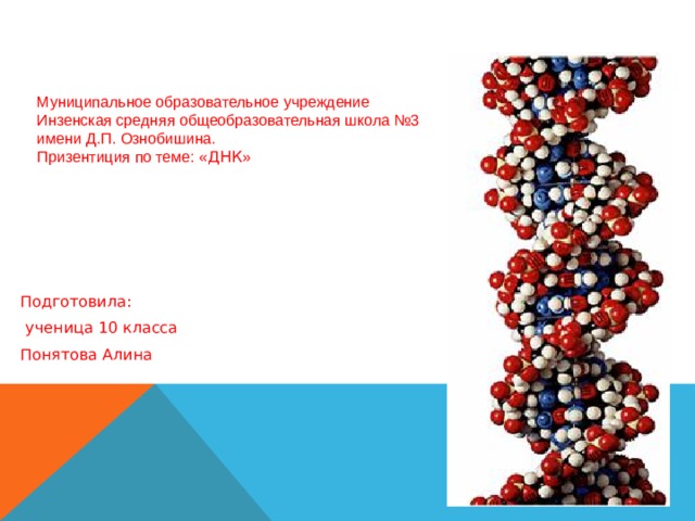 Муниципальное образовательное учреждение  Инзенская средняя общеобразовательная школа №3  имени Д.П. Ознобишина.  Призентиция по теме: « ДНК » Подготовила:  ученица 10 класса Понятова Алина 