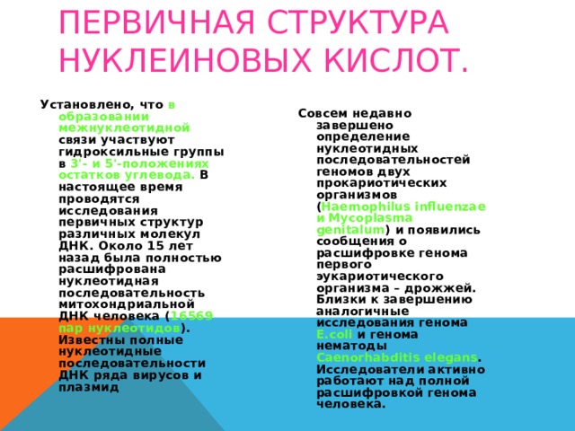 ПЕРВИЧНАЯ СТРУКТУРА НУКЛЕИНОВЫХ КИСЛОТ. Установлено, что в образовании межнуклеотидной связи участвуют гидроксильные группы в 3'- и 5'-положениях остатков углевода. В настоящее время проводятся исследования первичных структур различных молекул ДНК. Около 15 лет назад была полностью расшифрована нуклеотидная последовательность митохондриальной ДНК человека ( 16569 пар нуклеотидов ). Известны полные нуклеотидные последовательности ДНК ряда вирусов и плазмид Совсем недавно завершено определение нуклеотидных последовательностей геномов двух прокариотических организмов ( Haemophilus influenzae и Mycoplasma genitalum ) и появились сообщения о расшифровке генома первого эукариотического организма – дрожжей. Близки к завершению аналогичные исследования генома E.coli и генома нематоды Caenorhabditis elegans . Исследователи активно работают над полной расшифровкой генома человека. 