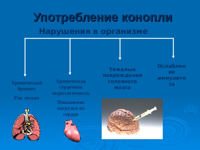 О вреде наркотиков Состояние, развивающееся в результате употребления наркотиков; приводит к химической зависимости организма Физическая зависимость Что наркотики приносят людям Психологическая зависимость Развитие постоянной, иногда непреодолимой психологической потребности в наркотике 