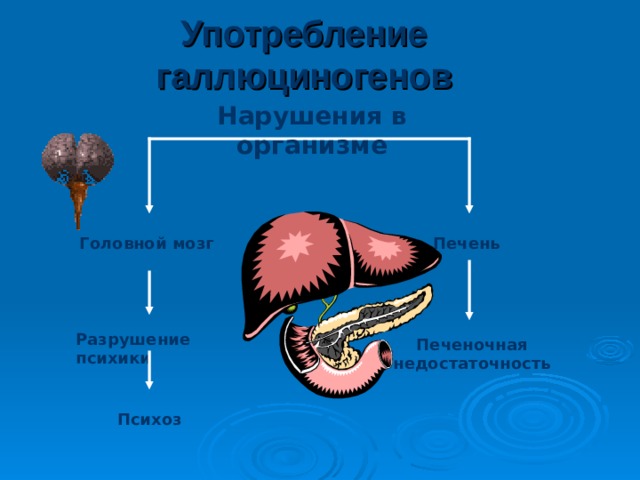 Употребление психостимуляторов Нарушения в организме Резко увеличивают частоту сердечных сокращений и повышают артериальное давление Резко усиливают обмен веществ Дефицит жизненных ресурсов Дистрофия миокарда Инфаркт миокарда Истощение, худоба, старение кожи 