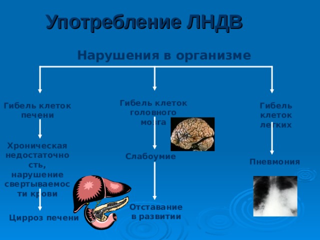 Употребление галлюциногенов Нарушения в организме Головной мозг Печень Разрушение психики Печеночная недостаточность Психоз 