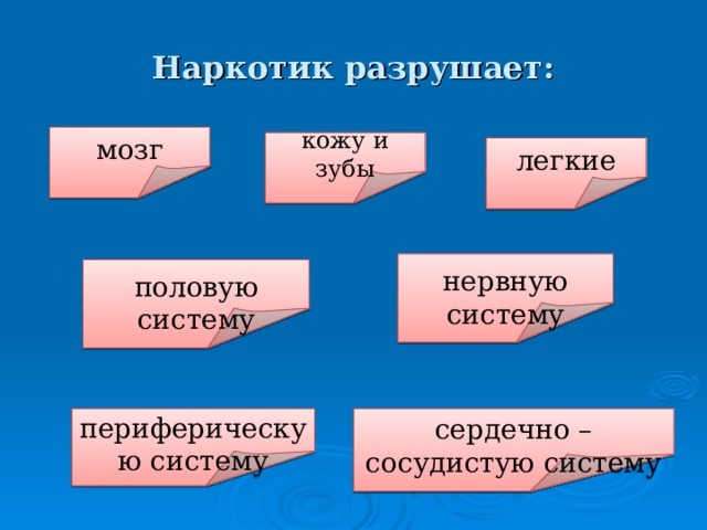 Наркотики – это вещества, действующие на мозг, вызывающие привыкание и изменяющие сознание. При употреблении наркотиков развивается тяжелая и трудноизлечимая (эффективность лечения не более 5 %) болезнь – наркомания . При употреблении лекарственных и токсических веществ возникает болезнь – токсикомания . При вдыхании паров клея, растворителя развивается слабоумие. 