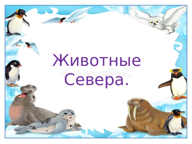 Животные Севера. 