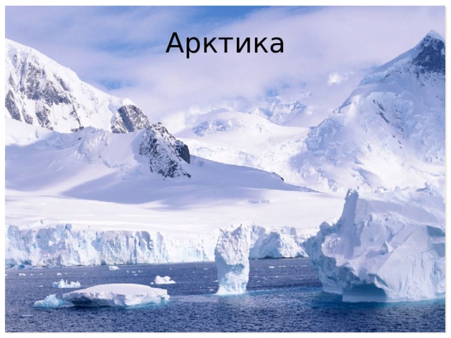 Арктика 