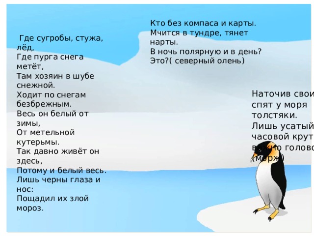 Кто без компаса и карты. Мчится в тундре, тянет нарты. В ночь полярную и в день? Это?( северный олень)  Где сугробы, стужа, лёд, Где пурга снега метёт, Там хозяин в шубе снежной. Ходит по снегам безбрежным. Весь он белый от зимы, От метельной кутерьмы. Так давно живёт он здесь, Потому и белый весь. Лишь черны глаза и нос: Пощадил их злой мороз. Наточив свои клыки  спят у моря толстяки.  Лишь усатый часовой крутит важно головой. (морж) 