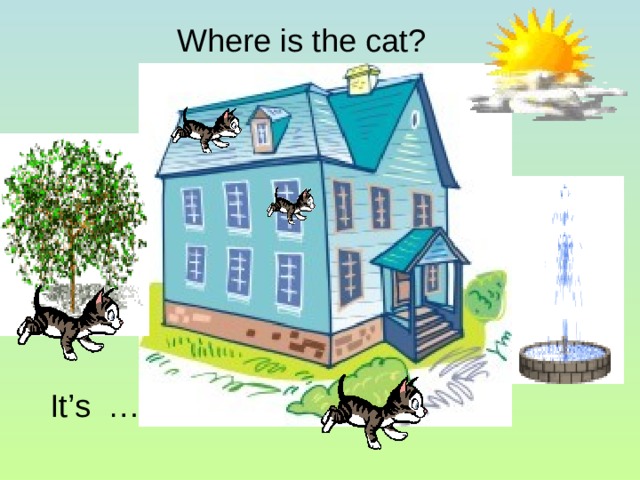 Where is the cat?  It’s … 