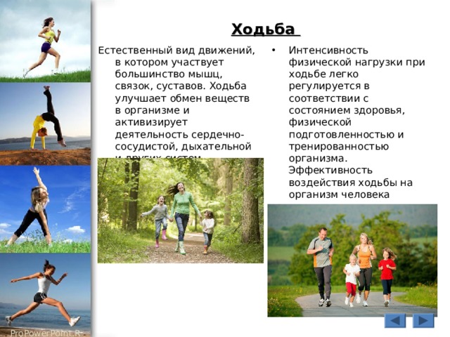 Ходьба Естественный вид движений, в котором участвует большинство мышц, связок, суставов. Ходьба улучшает обмен веществ в организме и активизирует деятельность сердечно-сосудистой, дыхательной и других систем организма. . Интенсивность физической нагрузки при ходьбе легко регулируется в соответствии с состоянием здоровья, физической подготовленностью и тренированностью организма. Эффективность воздействия ходьбы на организм человека зависит от длины шага, скорости ходьбы и ее продолжительности. Перед тренировкой необходимо сделать короткую разминку 