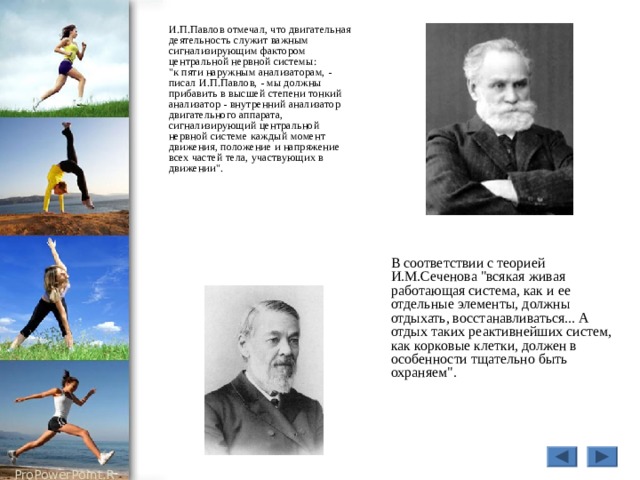  И.П.Павлов отмечал, что двигательная деятельность служит важным сигнализирующим фактором центральной нервной системы:  