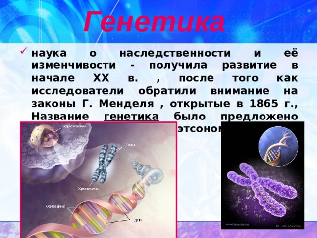 Генетика  наука о наследственности и её изменчивости - получила развитие в начале XX в. , после того как исследователи обратили внимание на законы Г. Менделя , открытые в 1865 г., Название генетика было предложено английским ученым У.Бэтсоном в 1906 г. 