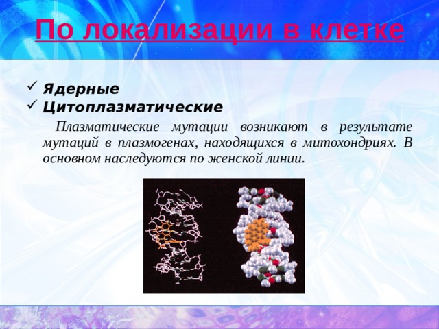 По локализации в клетке Ядерные  Цитоплазматические   Плазматические мутации возникают в результате мутаций в плазмогенах, находящихся в митохондриях. В основном наследуются по женской линии. 