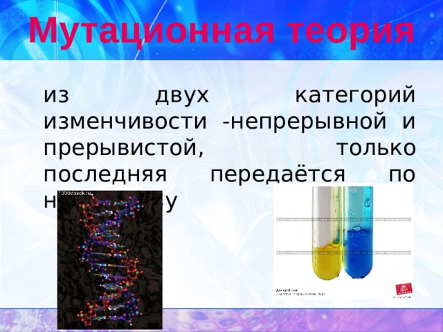 Мутационная теория  из двух категорий изменчивости - непрерывной и прерывистой , только последняя передаётся по наследству  