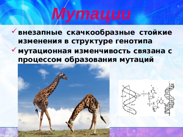 Мутации внезапные скачкообразные стойкие изменения в структуре генотипа мутационная изменчивость связана с процессом образования мутаций 