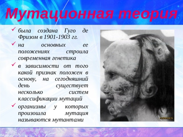Мутационная теория была создана Гуго де Фризом в 1901-1903 гг. на основных ее положениях строила современная генетика в зависимости от того какой признак положен в основу, на сегодняшний день существует несколько систем классификации мутаций организмы у которых произошла мутация называются мутантами  