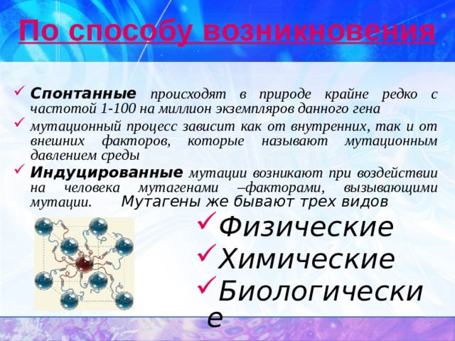 По способу возникновения Спонтанные происходят в природе крайне редко с частотой 1-100 на миллион экземпляров данного гена мутационный процесс зависит как от внутренних, так и от внешних факторов, которые называют мутационным давлением среды Индуцированные мутации возникают при воздействии на человека мутагенами –факторами, вызывающими мутации.   Мутагены же бывают трех видов Физические Химические Биологические Физические Химические Биологические Физические Химические Биологические Физические Химические Биологические Физические Химические Биологические Физические Химические Биологические Физические Химические Биологические Физические Химические Биологические Физические Химические Биологические 