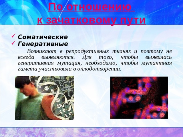 По отношению  к зачатковому пути Соматические  Генеративные   Возникают в репродуктивных тканях и поэтому не всегда выявляются. Для того, чтобы выявилась генеративная мутация, необходимо, чтобы мутантная гамета участвовала в оплодотворении. 