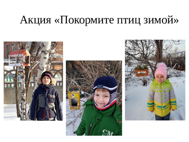 Акция «Покормите птиц зимой» 
