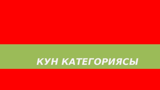  Кун категориясы 