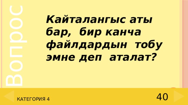 Кайталангыс аты бар, бир канча файлдардын тобу эмне деп аталат? 40 Категория 4 
