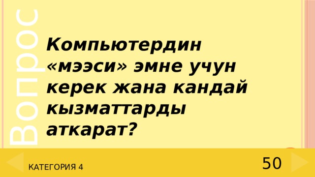Компьютердин «мээси» эмне учун керек жана кандай кызматтарды аткарат? 50 Категория 4 