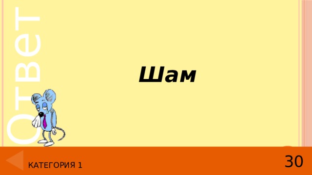  Шам 30 Категория 1 