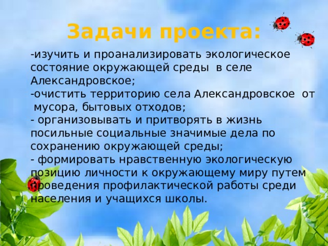 Задачи проекта: -изучить и проанализировать экологическое состояние окружающей среды в селе Александровское; -очистить территорию села Александровское от  мусора, бытовых отходов; - организовывать и притворять в жизнь посильные социальные значимые дела по сохранению окружающей среды; - формировать нравственную экологическую позицию личности к окружающему миру путем проведения профилактической работы среди населения и учащихся школы. 