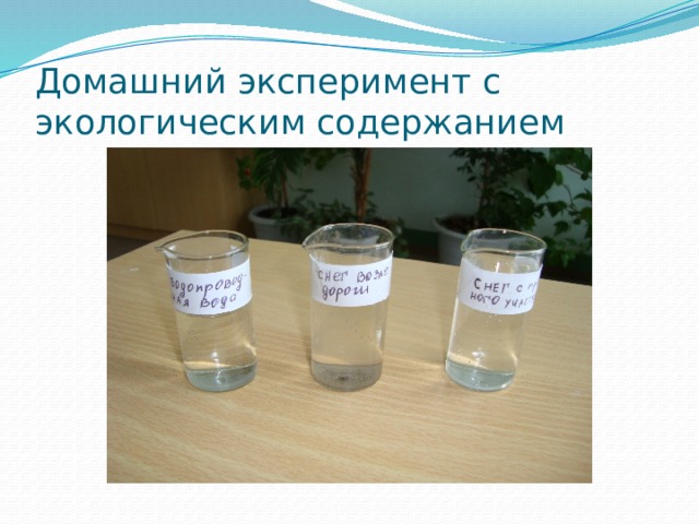 Домашний эксперимент с экологическим содержанием 